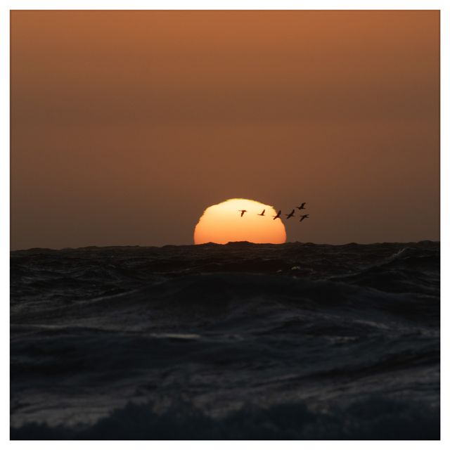 Sunset over the water